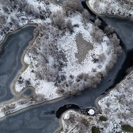 Invisible Forest And 5*