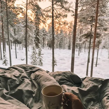 ホテル Invisible Forest And ロヴァニエミ