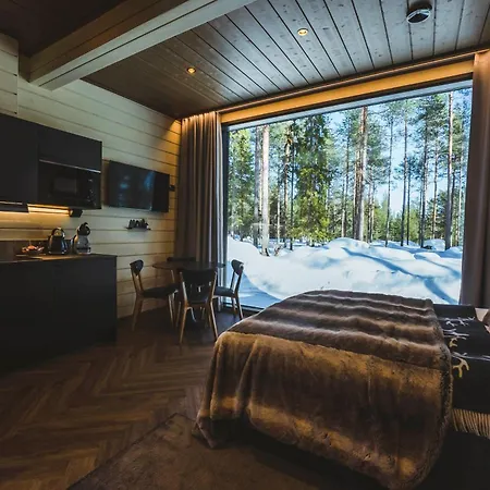 Invisible Forest And 5*