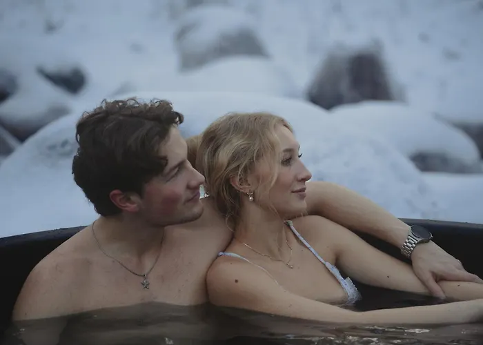 Invisible Forest And Hotell