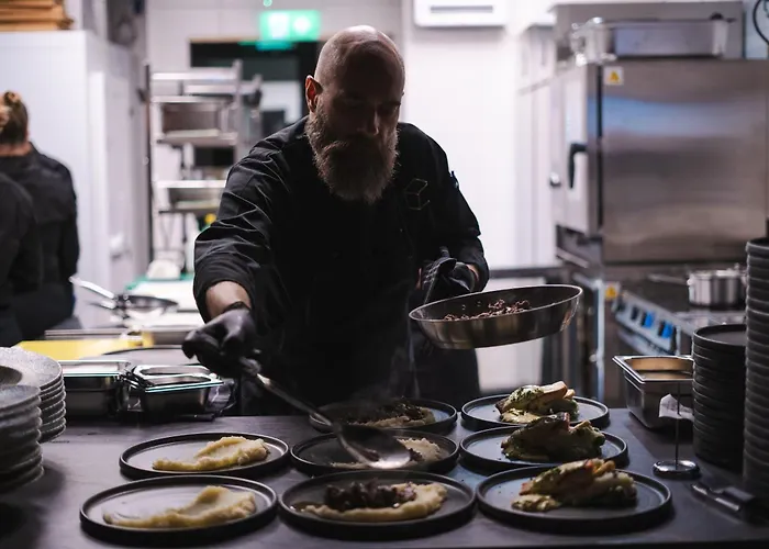 Invisible Forest And Hotell Rovaniemi