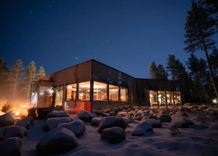 Invisible Forest And Hotell