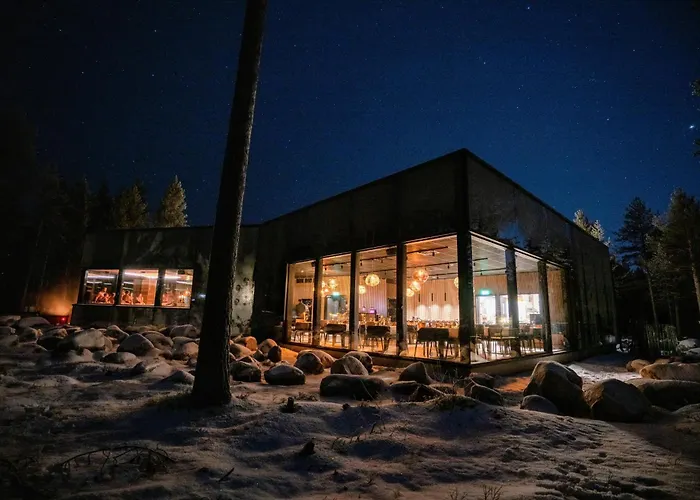 Invisible Forest And 5*