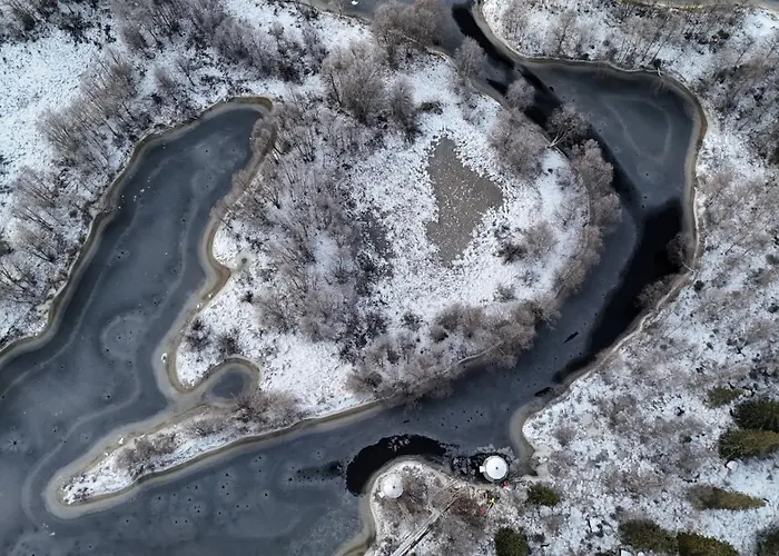 Invisible Forest And 5*