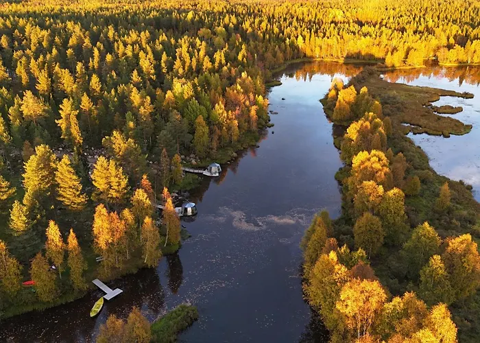 Hotell Invisible Forest And