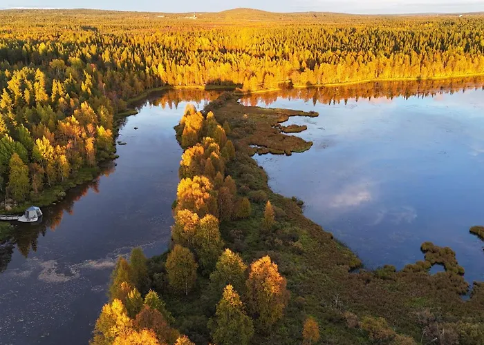 Hotell Invisible Forest And 5*