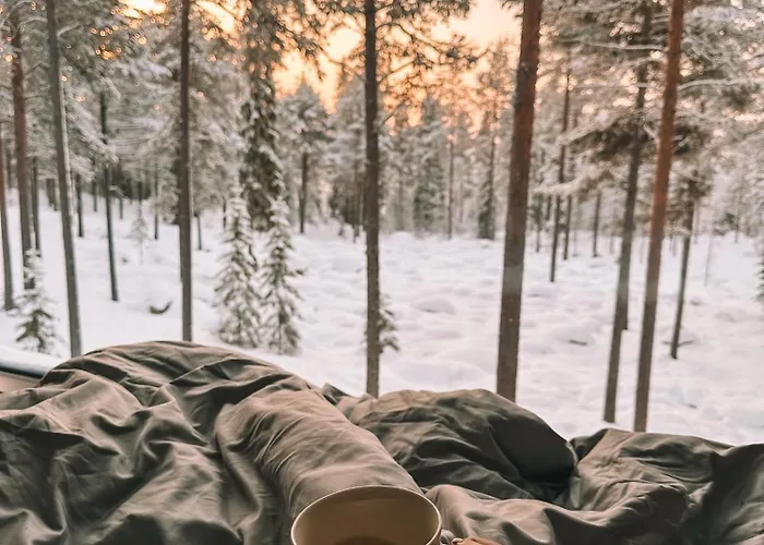 Hotell Invisible Forest And Rovaniemi